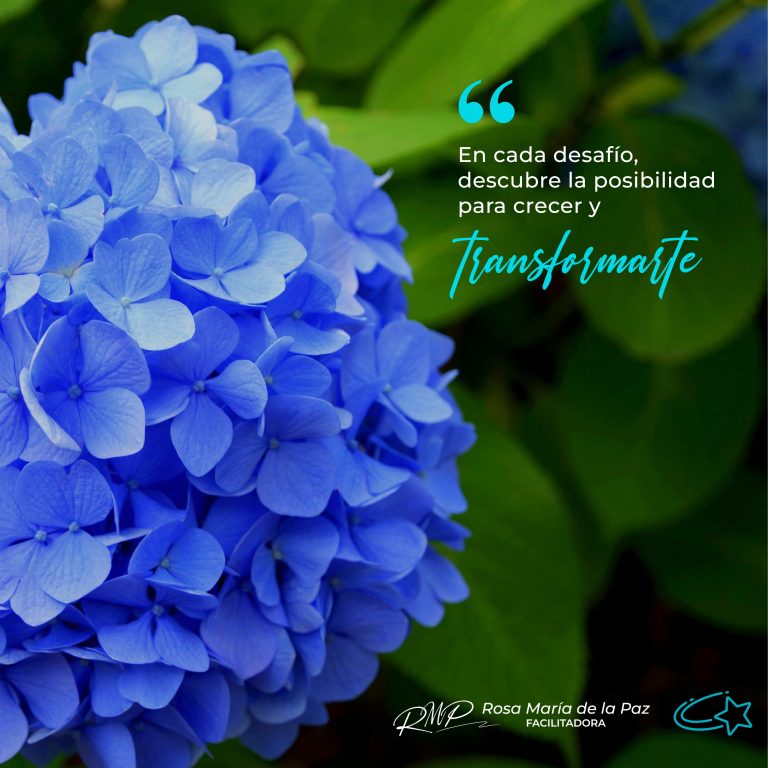 TRANSFORRMATE