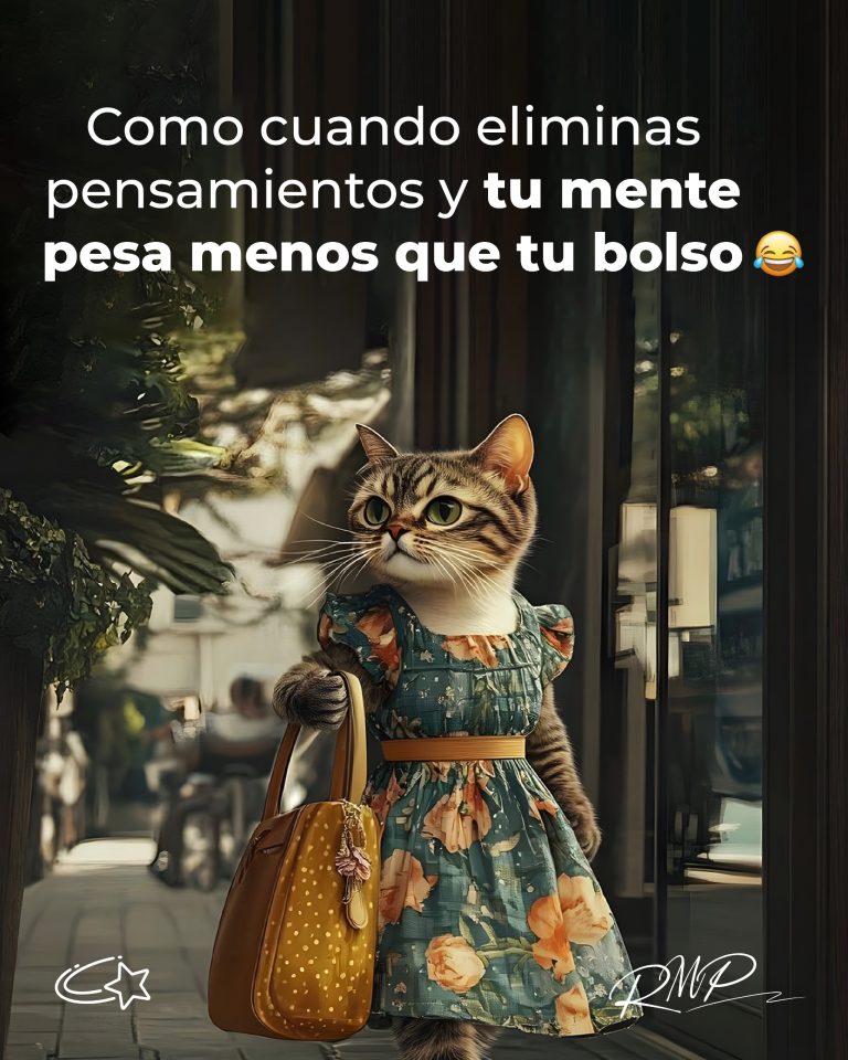 20251003_162257000_iOS 2